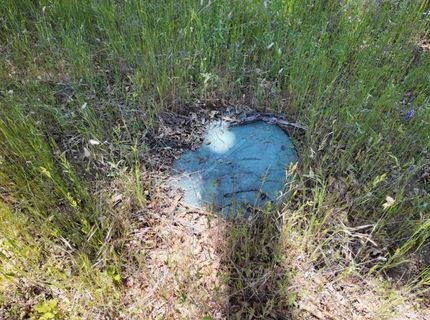 Hubbard Rd, Sheep Ranch, CA 95246 Photo