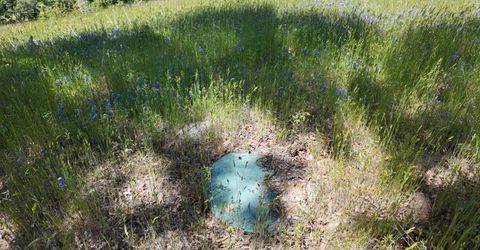 Hubbard Rd, Sheep Ranch, CA 95246 Photo