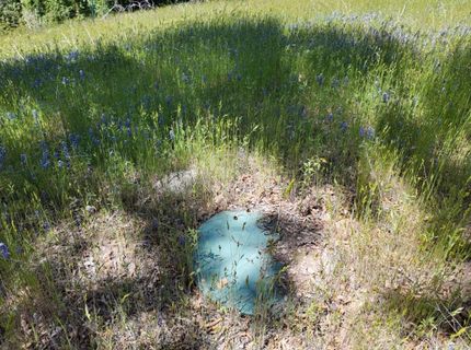 Hubbard Rd, Sheep Ranch, CA 95246 Photo