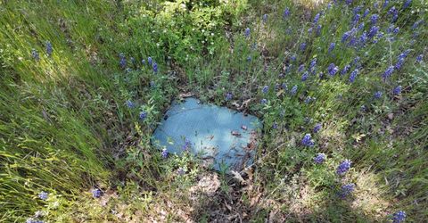 Hubbard Rd, Sheep Ranch, CA 95246 Photo