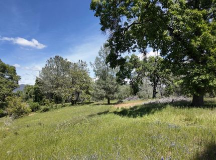 Hubbard Rd, Sheep Ranch, CA 95246 Photo