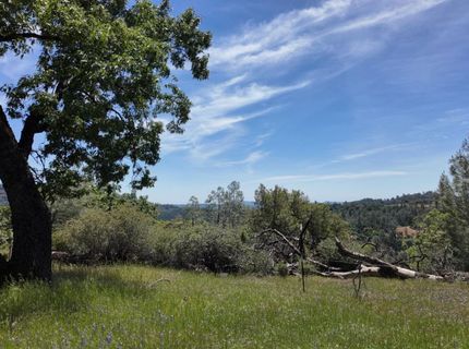 Hubbard Rd, Sheep Ranch, CA 95246 Photo