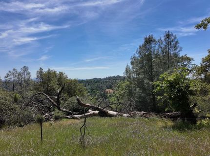 Hubbard Rd, Sheep Ranch, CA 95246 Photo