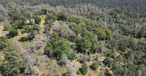 Hubbard Rd, Sheep Ranch, CA 95246 Photo