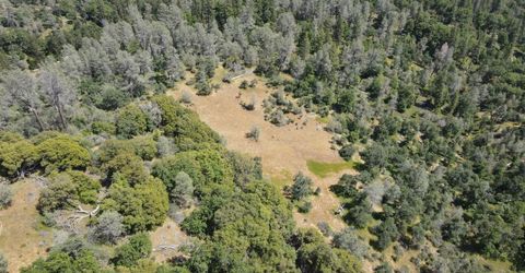 Hubbard Rd, Sheep Ranch, CA 95246 Photo
