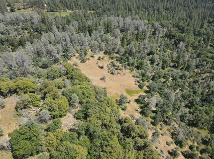 Hubbard Rd, Sheep Ranch, CA 95246 Photo