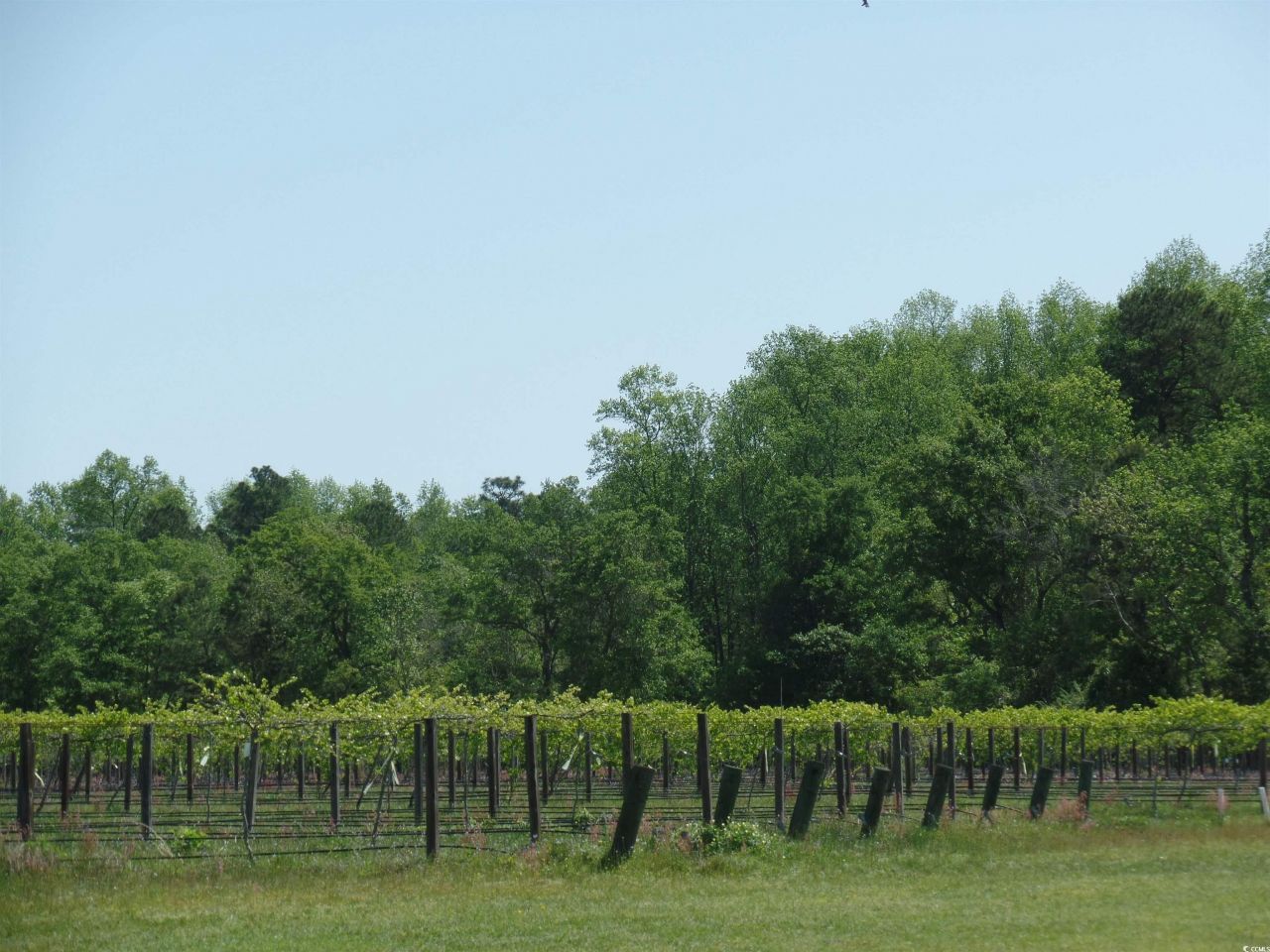 1717 Heritage Rd.  Photo 19