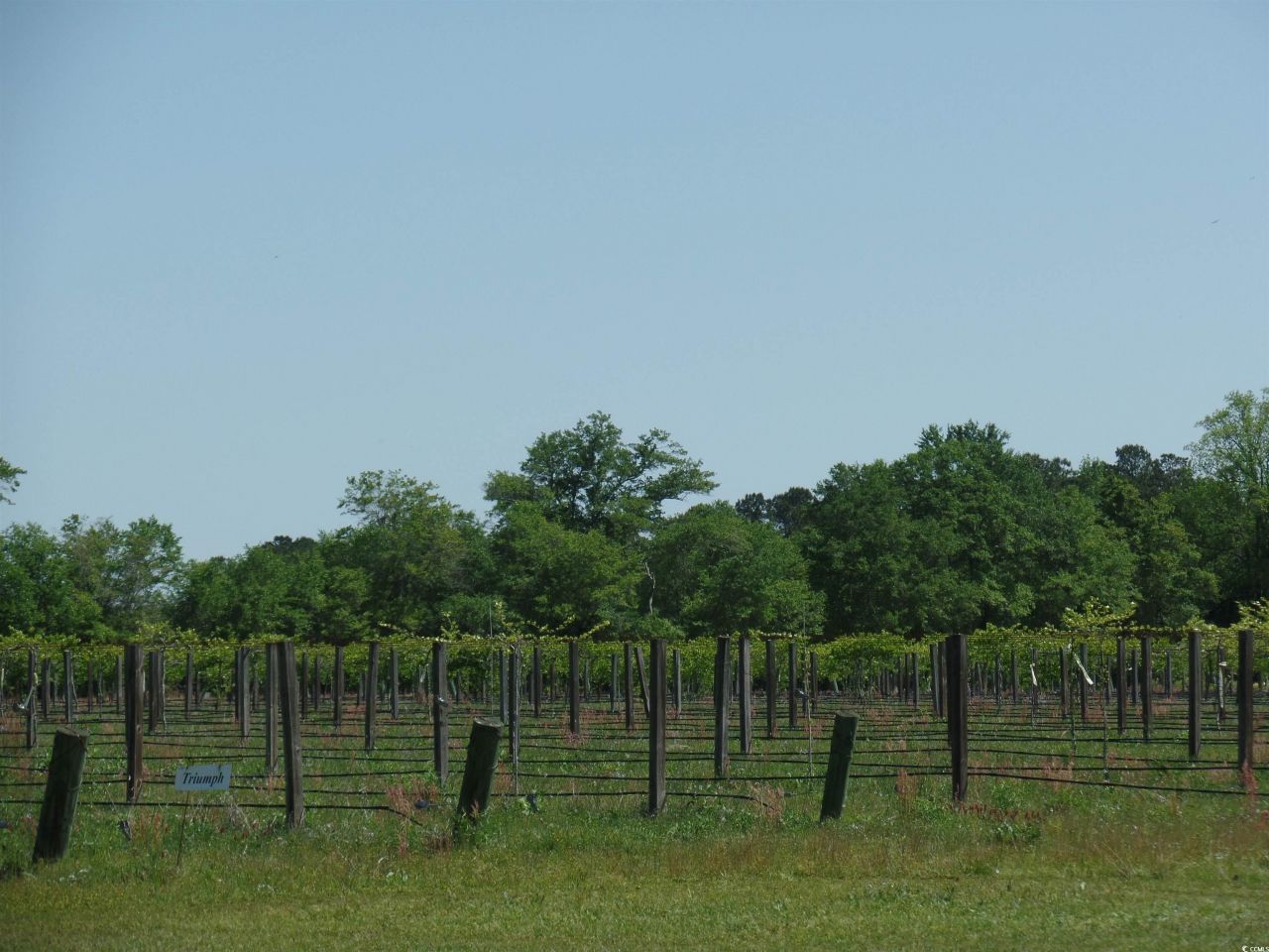 1717 Heritage Rd.  Photo 21