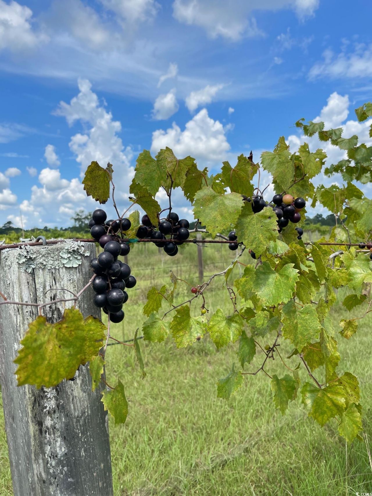 1717 Heritage Rd.  Photo 25