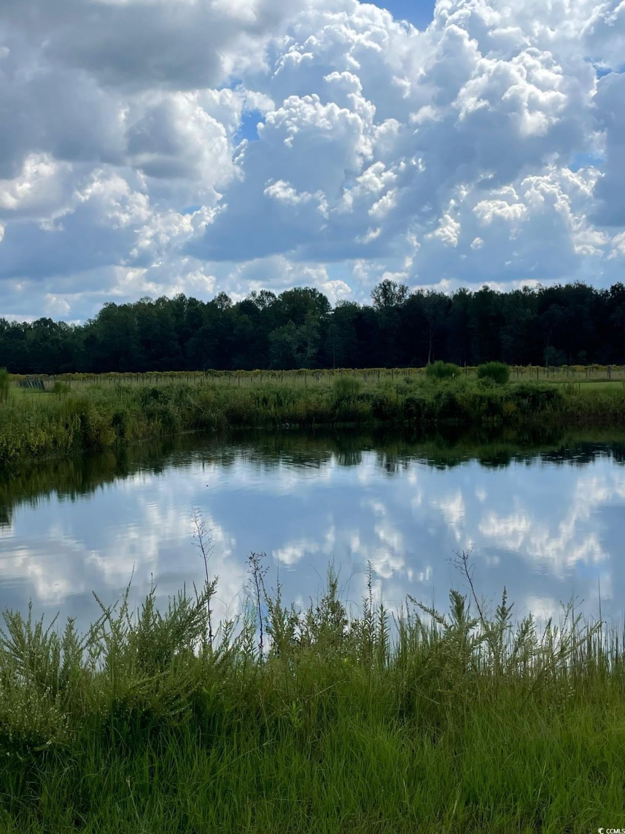 1717 Heritage Rd.  Photo 26