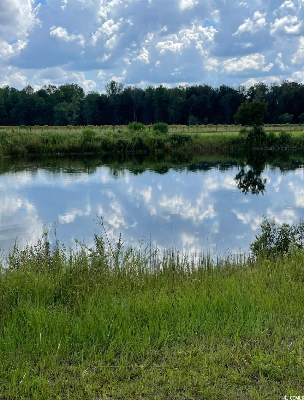 1717 Heritage Rd.  Photo 27