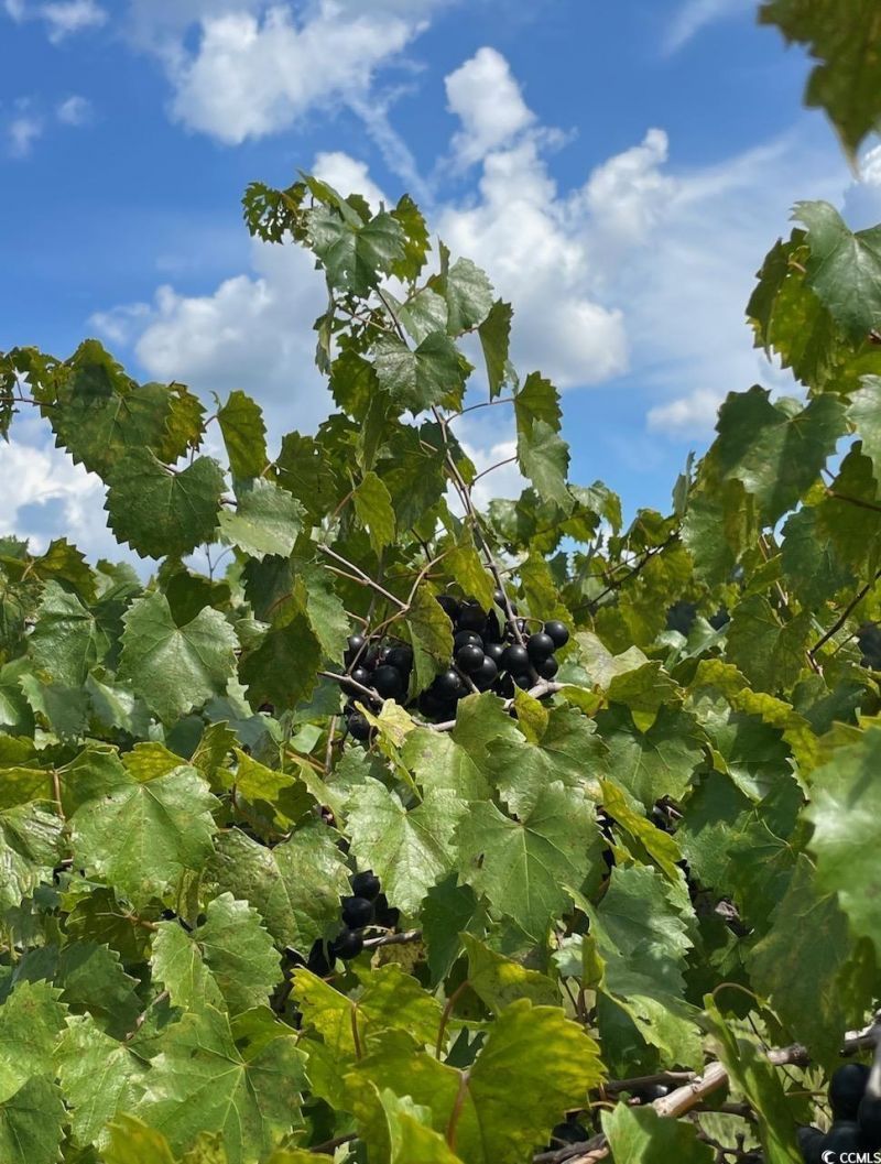 1717 Heritage Rd.  Photo 32