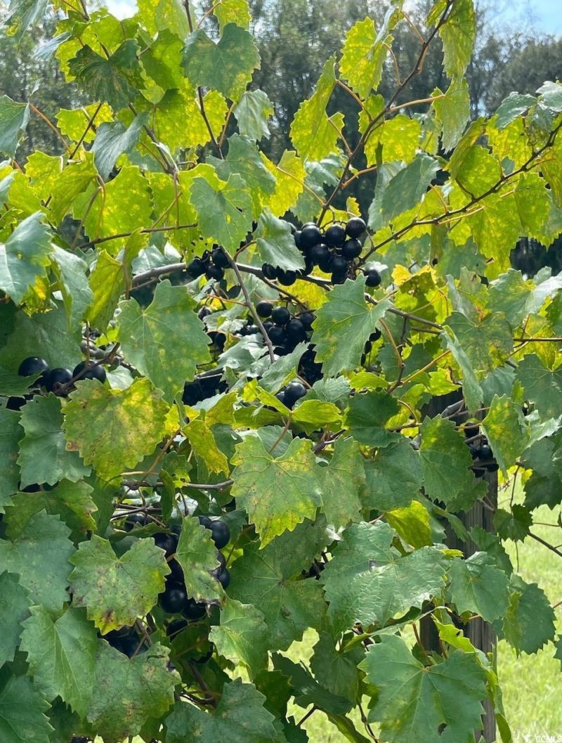 1717 Heritage Rd.  Photo 33