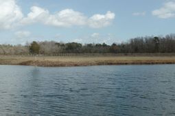 1717 Heritage Rd.  photo 4