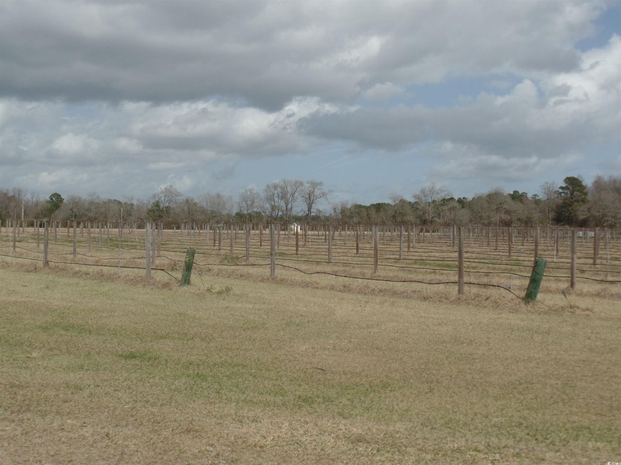 1717 Heritage Rd.  Photo 6