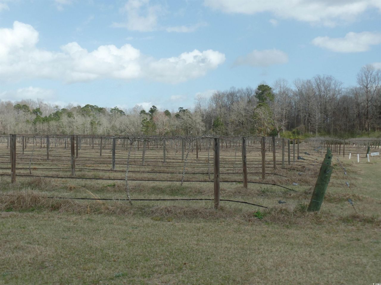 1717 Heritage Rd.  Photo 7