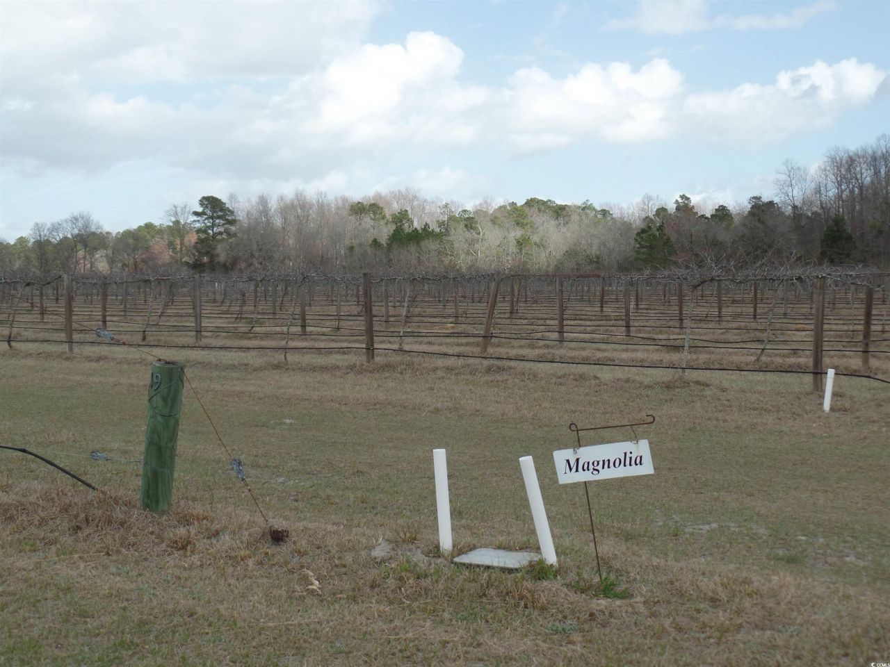 1717 Heritage Rd.  Photo 8