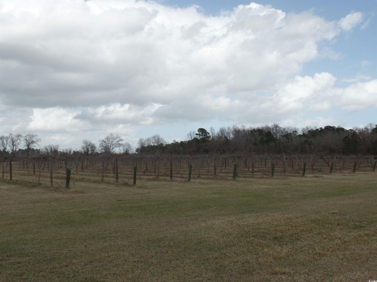 1717 Heritage Rd.  Photo 9