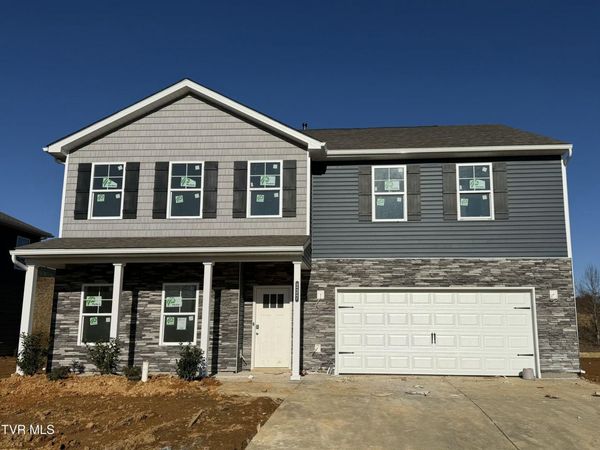 237 Artist Avenue, Johnson City, TN 37615