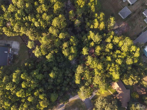 Amber Way, Pace, FL 32571