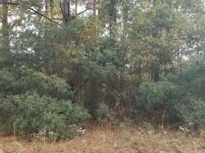 0 Rearden Avenue, Walterboro, SC 29488