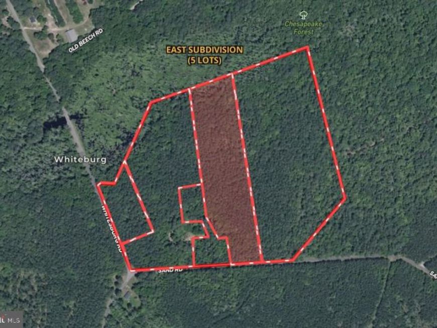 Lot 4 Sand Road, Snow Hill, MD 21863 Main Photo