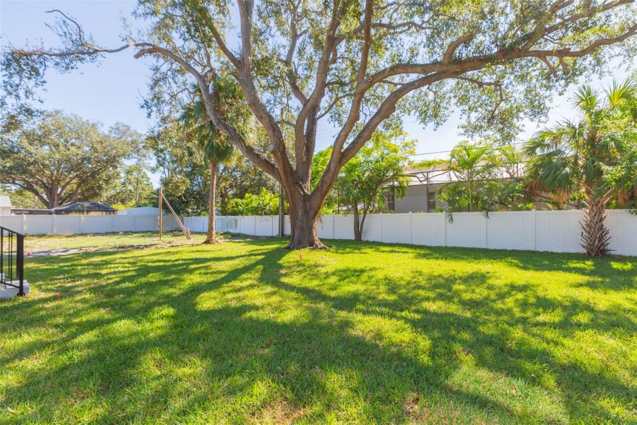 4718 W Knights Avenue, Tampa, FL 33611 Photo