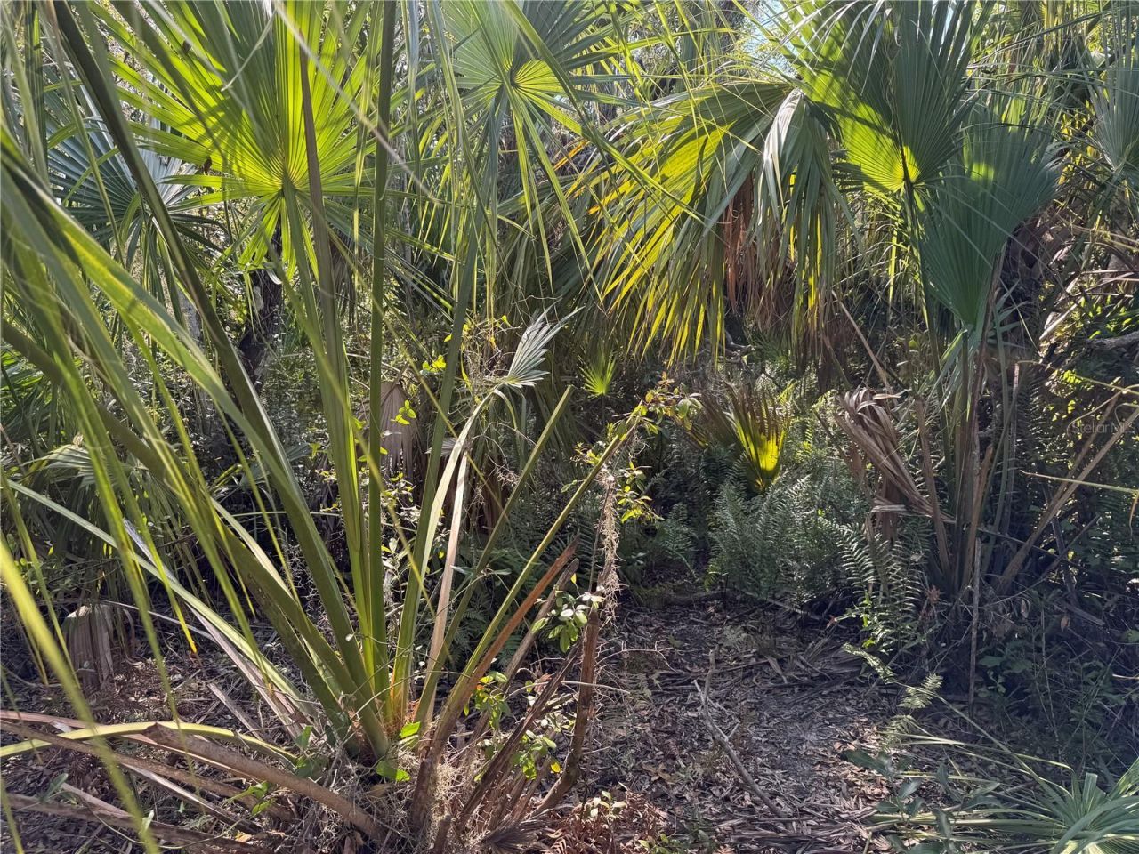 Upper Manatee River Road, Bradenton, FL 34212 Photo