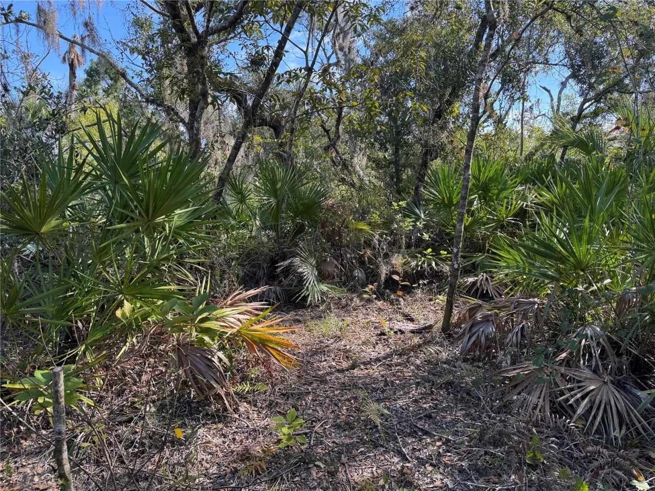 Upper Manatee River Road, Bradenton, FL 34212 Photo