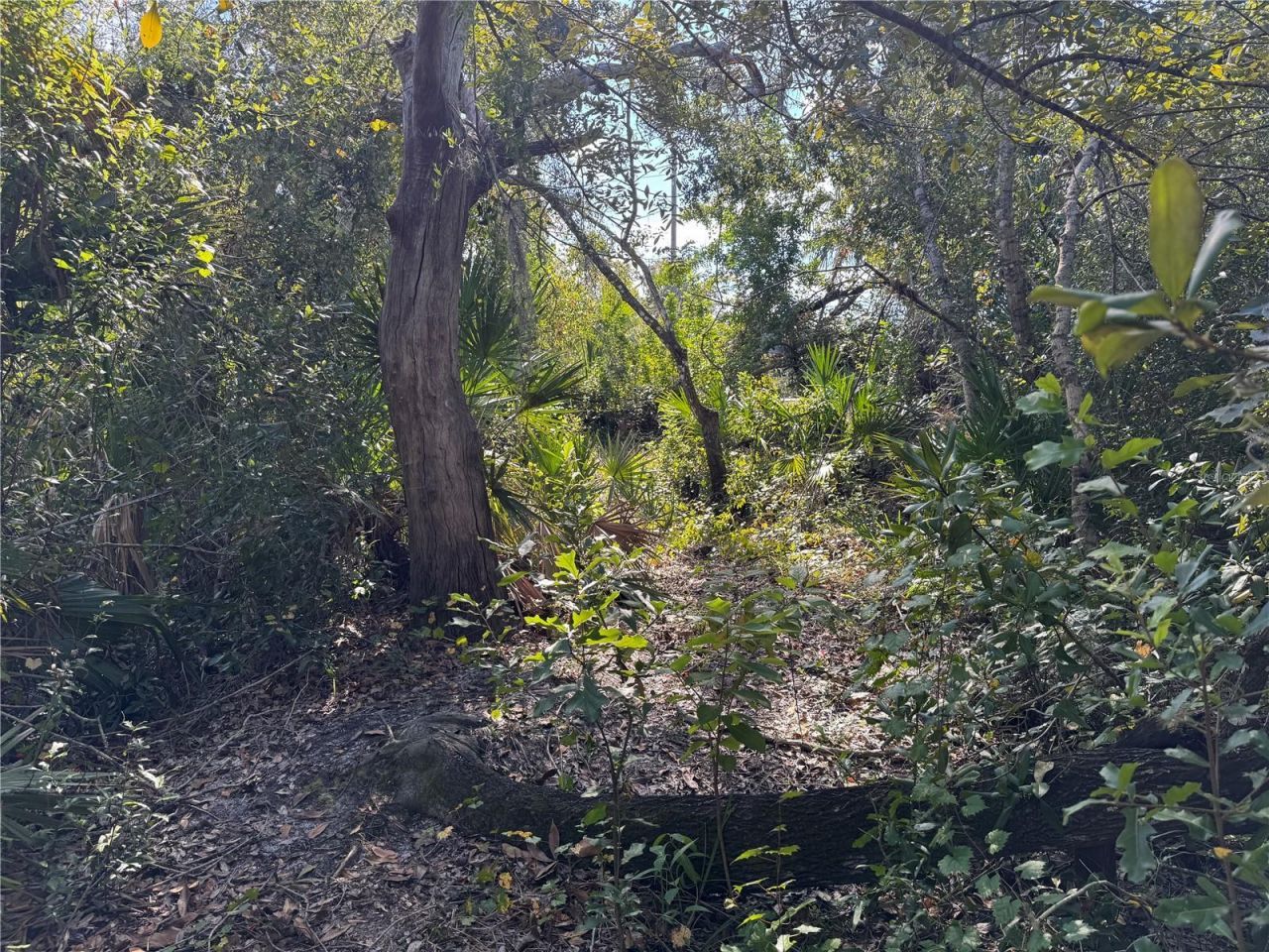 Upper Manatee River Road, Bradenton, FL 34212 Photo