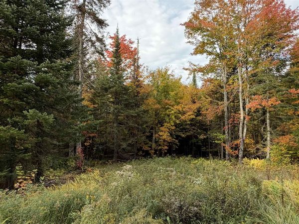 0 Shadow Lake Road, Glover, VT 05839