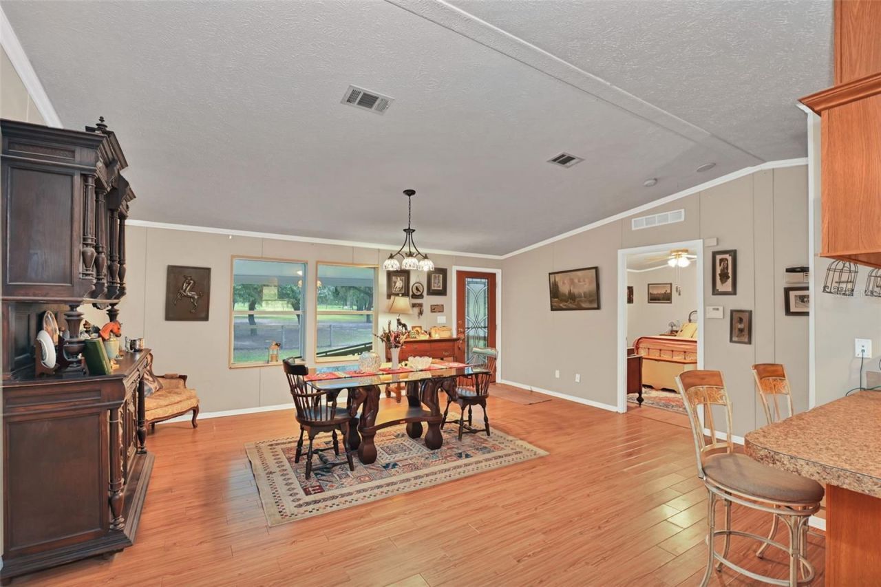 11064 NE 212th Lane, Fort Mc Coy, FL 32134 Photo