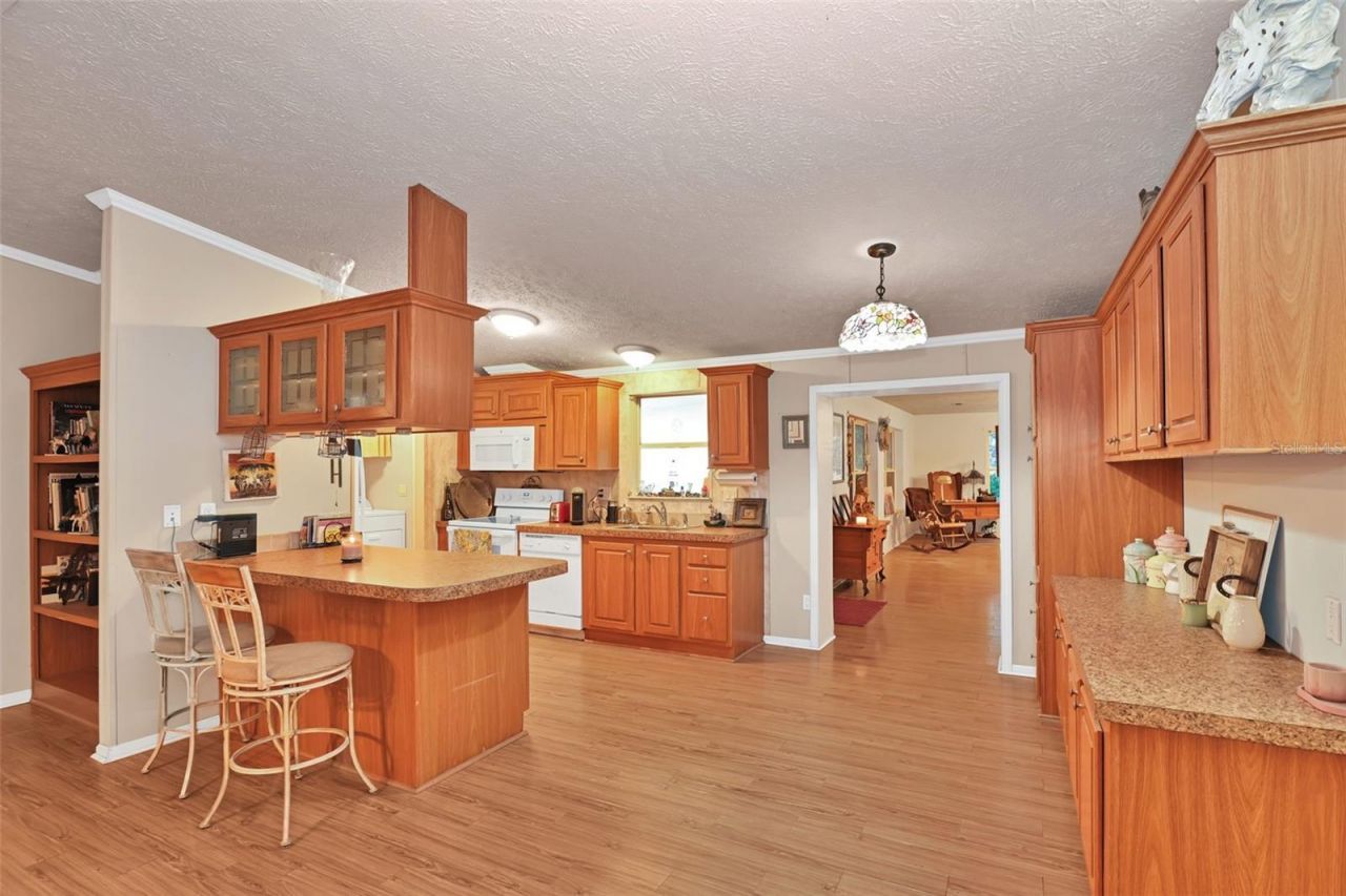 11064 NE 212th Lane, Fort Mc Coy, FL 32134 Photo