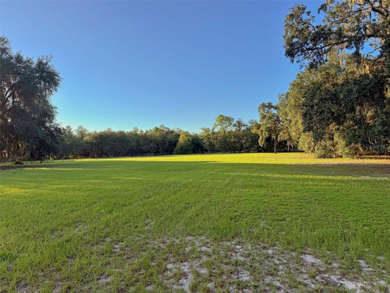 11064 NE 212th Lane, Fort Mc Coy, FL 32134 Photo