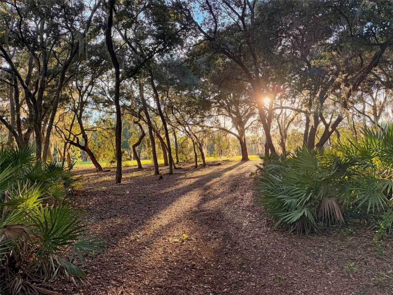 11064 NE 212th Lane, Fort Mc Coy, FL 32134 Photo