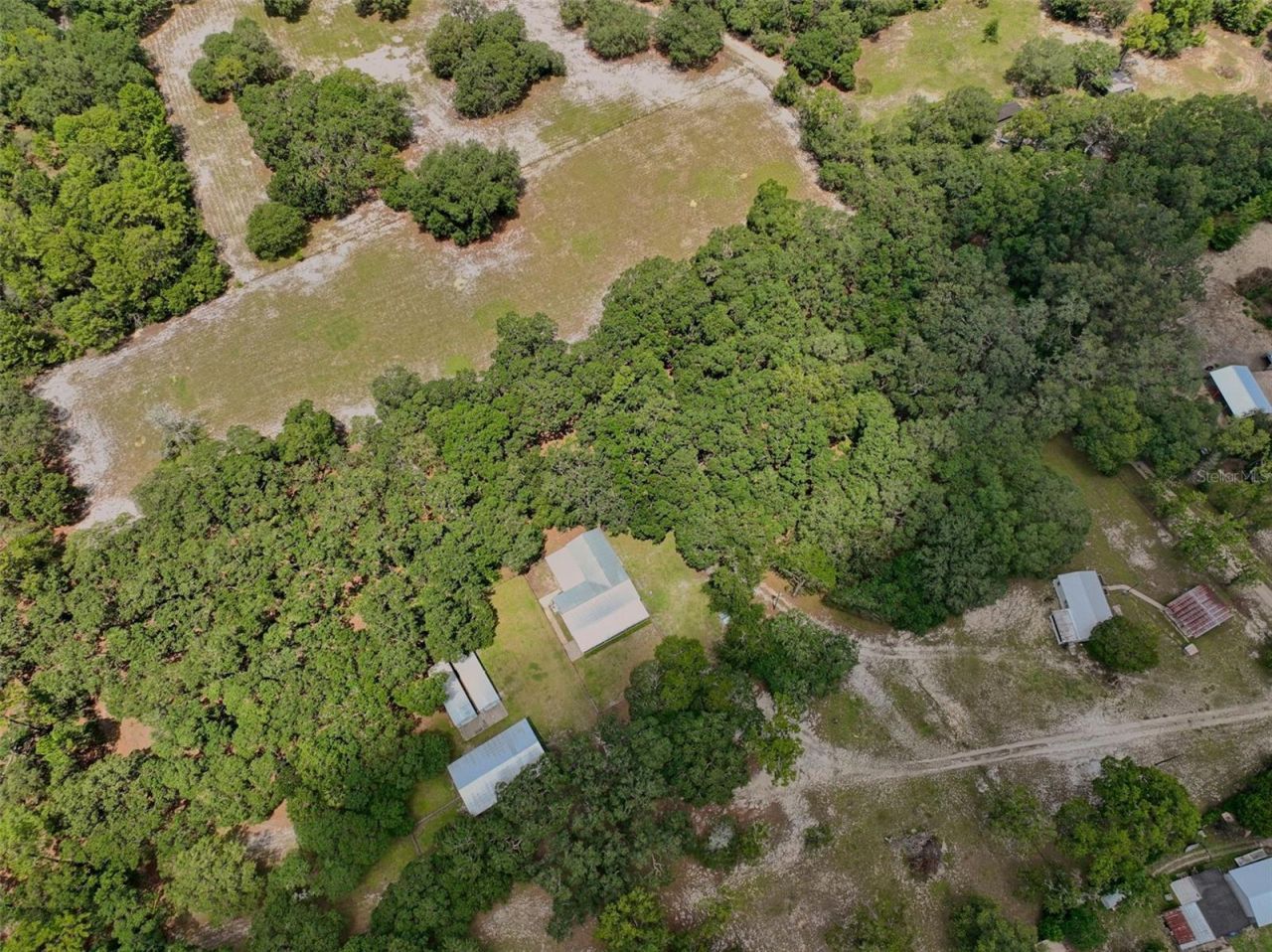 11064 NE 212th Lane, Fort Mc Coy, FL 32134 Photo