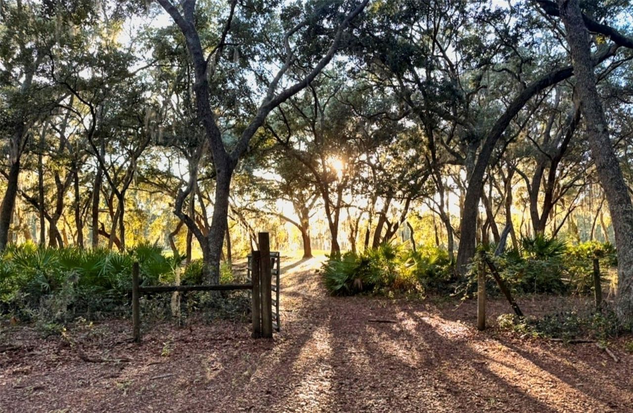 11064 NE 212th Lane, Fort Mc Coy, FL 32134 Photo