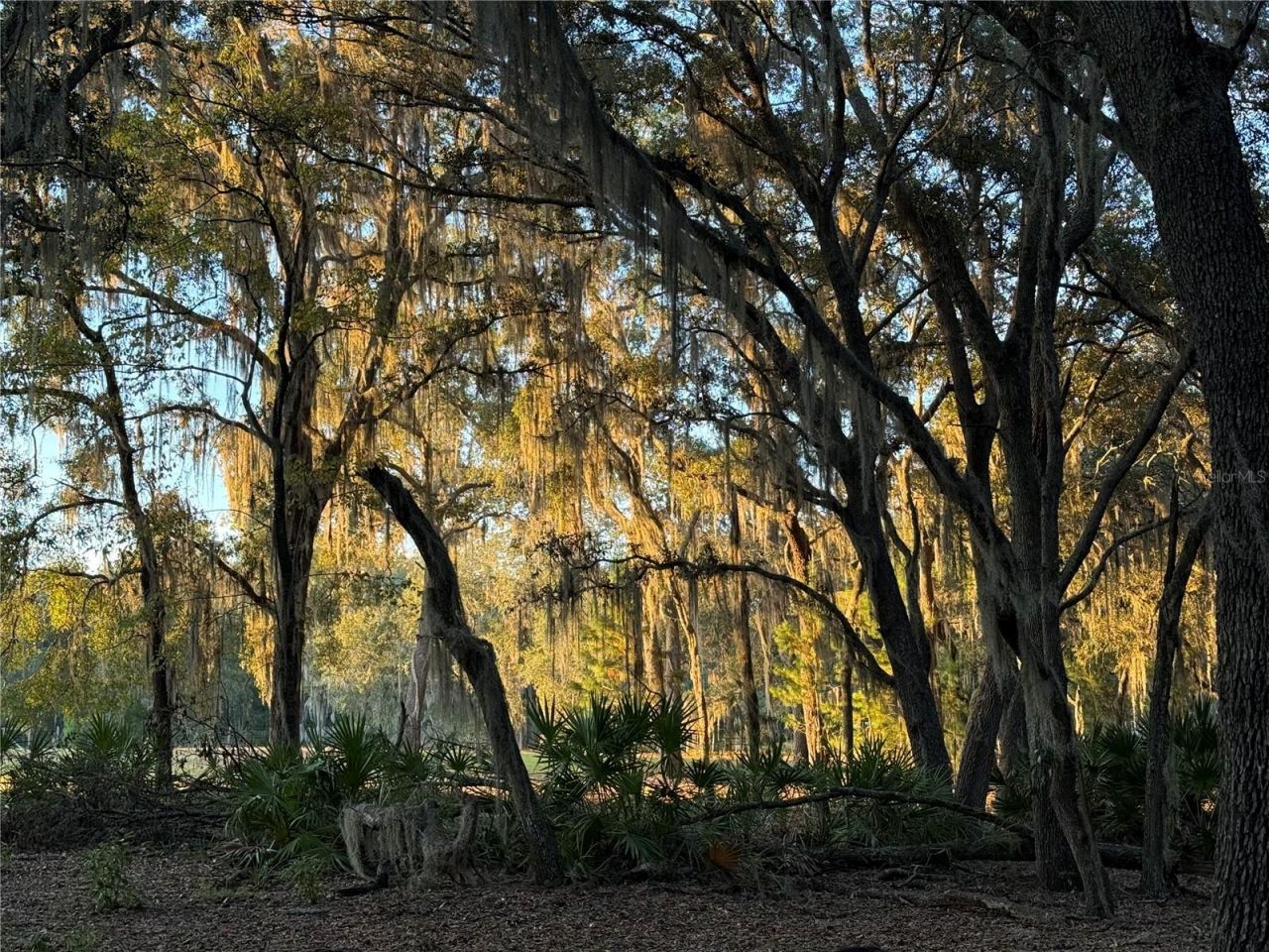 11064 NE 212th Lane, Fort Mc Coy, FL 32134 Photo