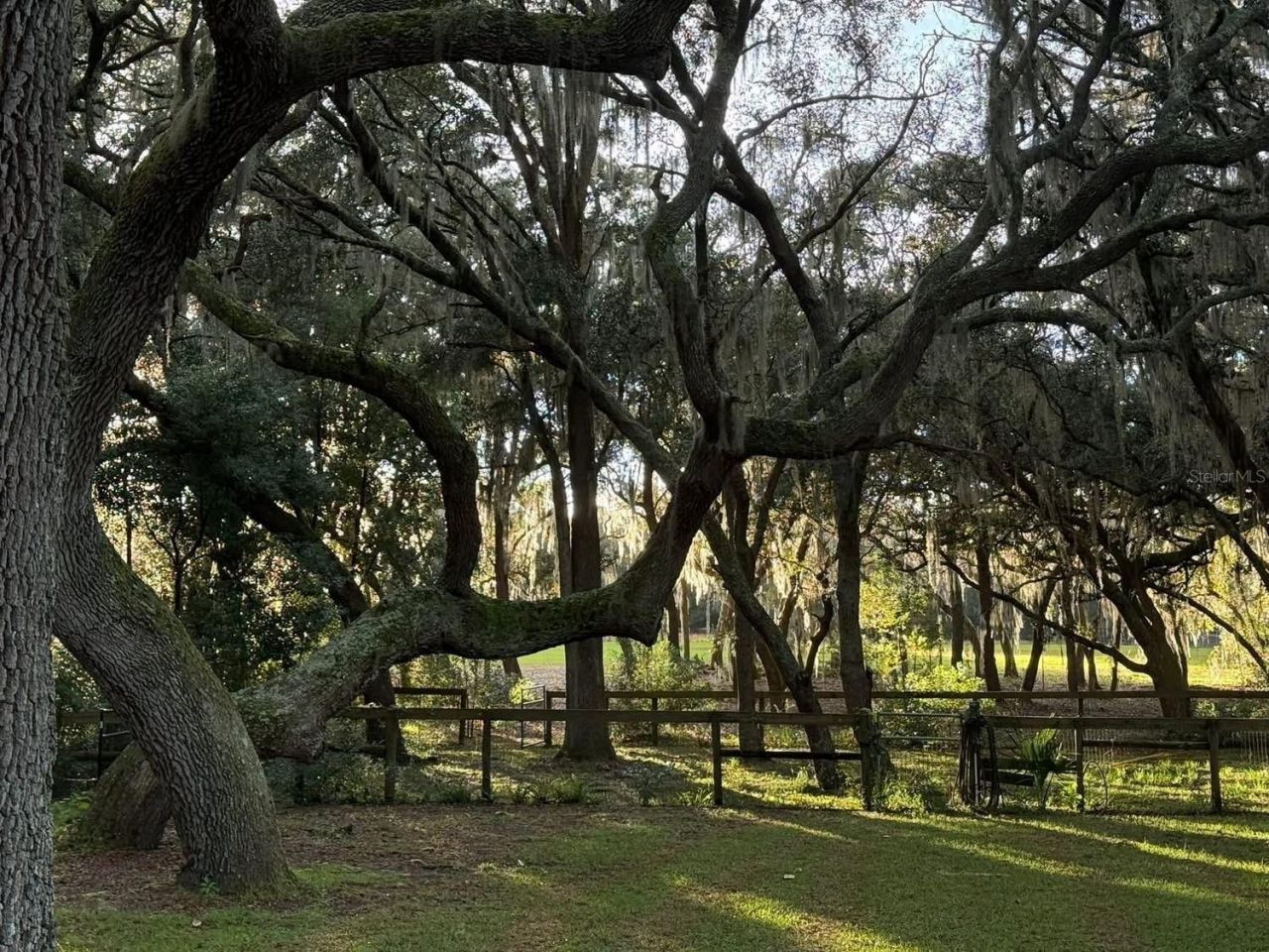 11064 NE 212th Lane, Fort Mc Coy, FL 32134 Photo