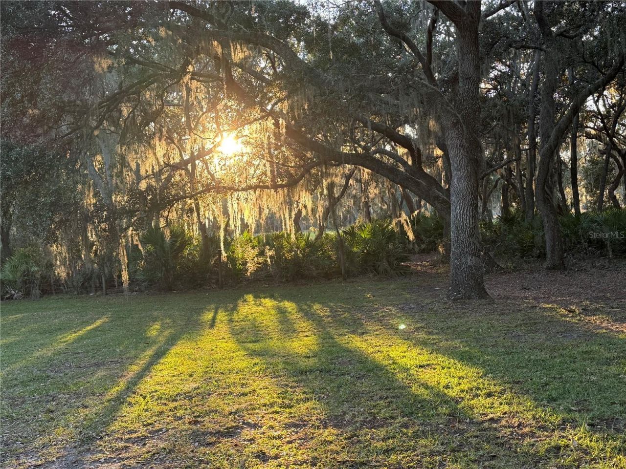 11064 NE 212th Lane, Fort Mc Coy, FL 32134 Photo