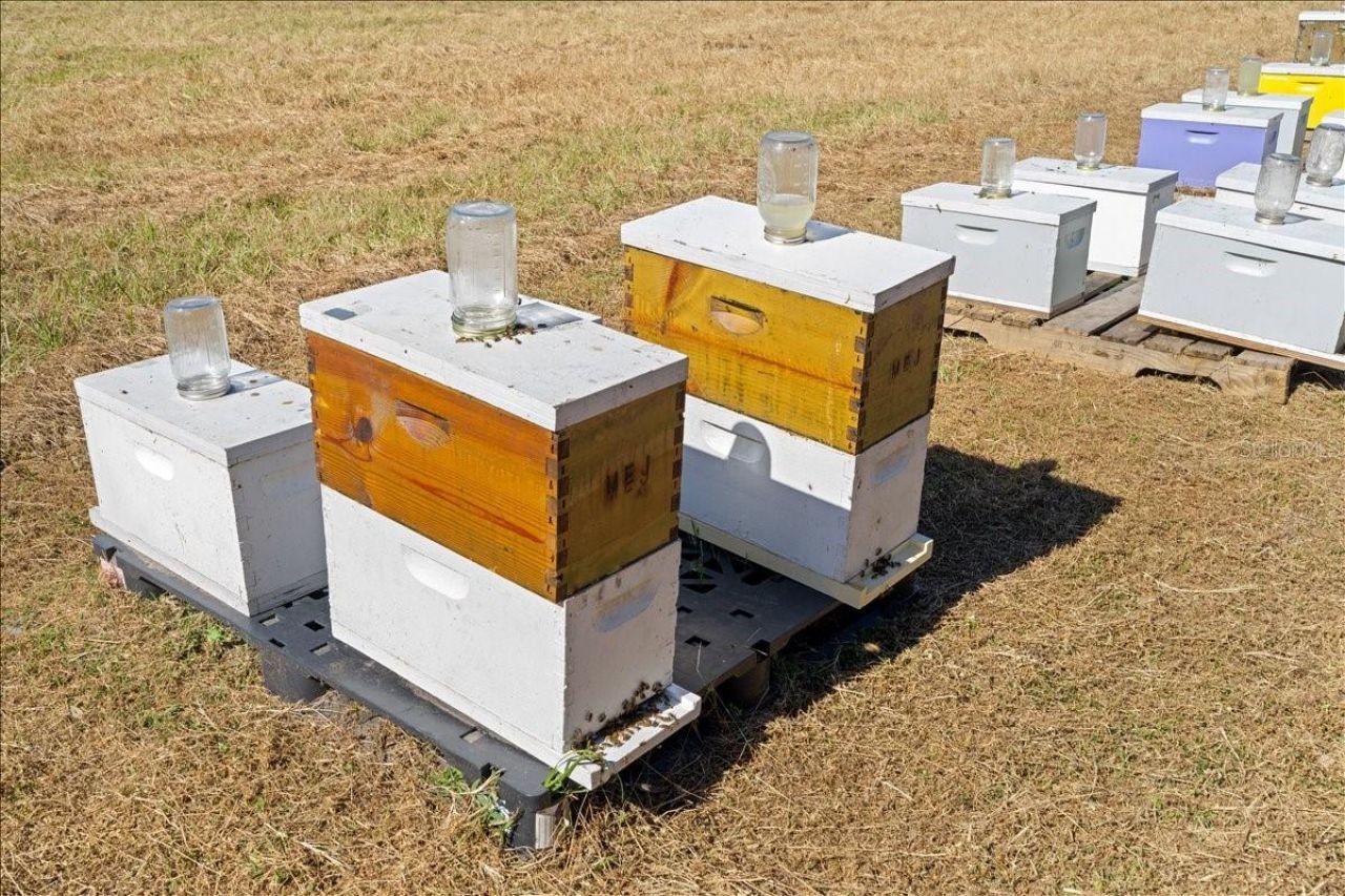 4420 Daugharty Road, Deland, FL 32724 Photo