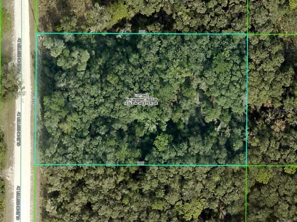 7192 GLENCHESTER DRIVE, WEBSTER, FL 33597