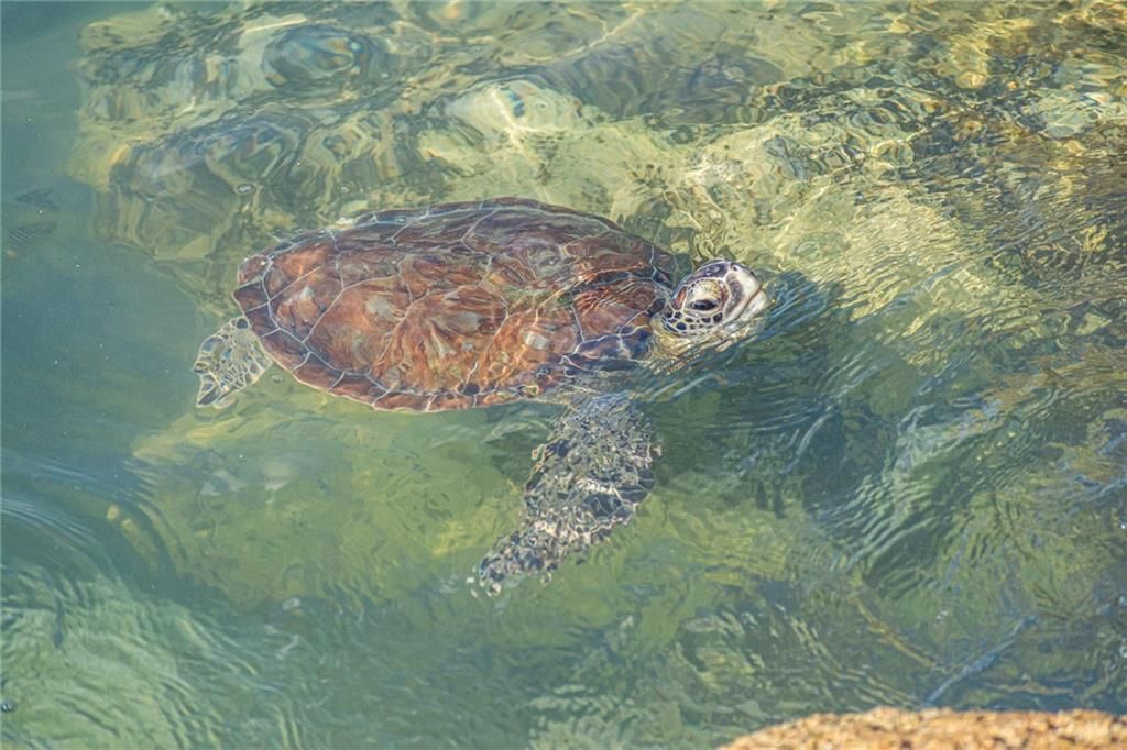 1315 Bayshore Drive, Unit 204, Fort Pierce, FL 34949 Photo