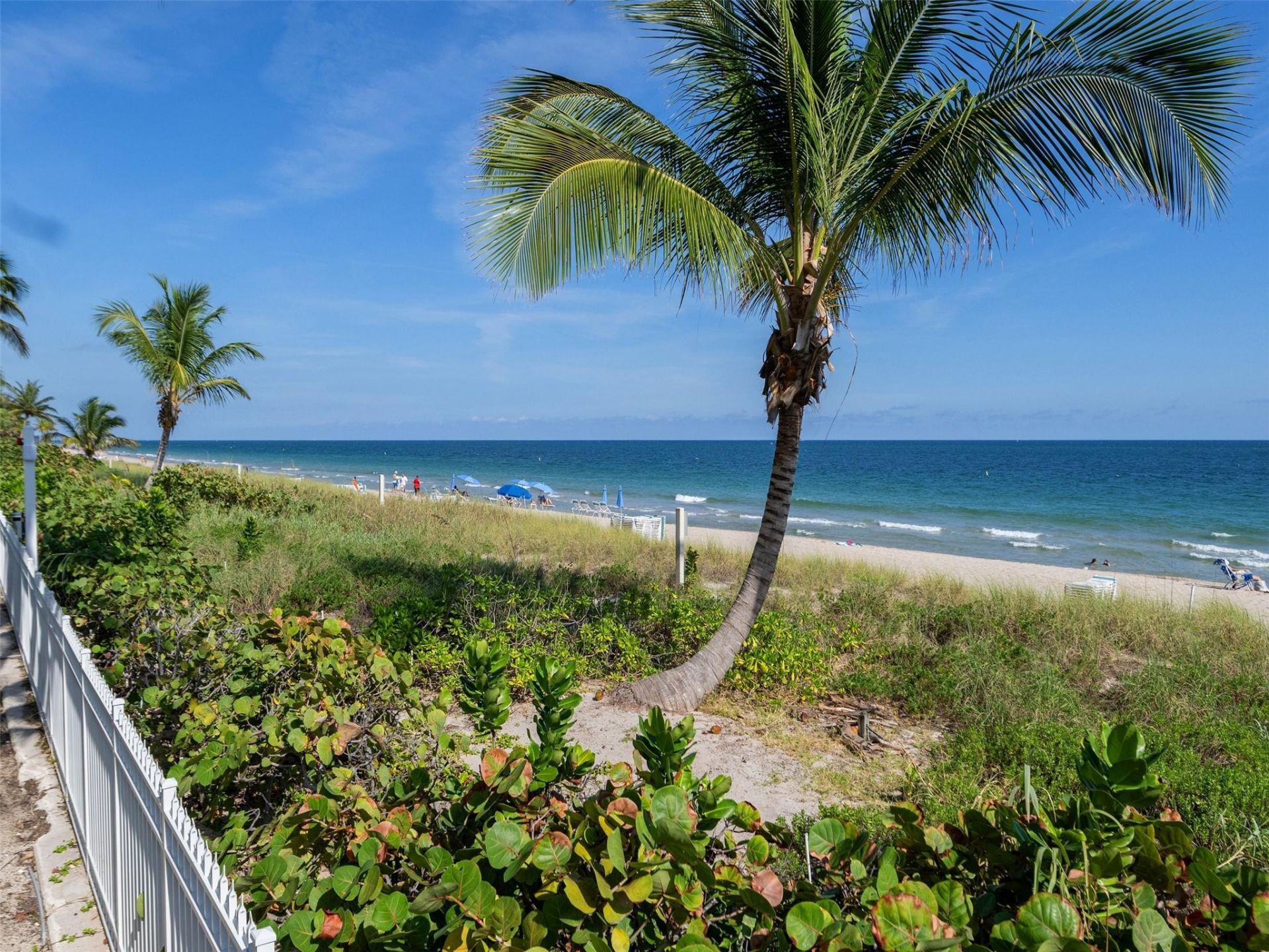 3200 N Ocean Boulevard, Unit 2505, Fort Lauderdale, FL 33308 Photo