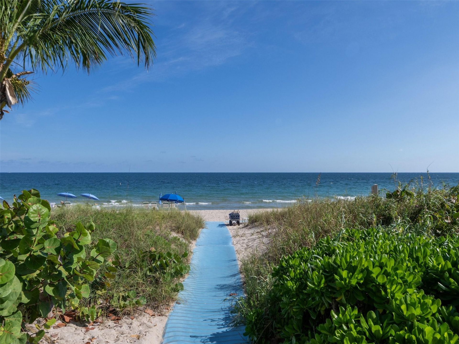 3200 N Ocean Boulevard, Unit 2505, Fort Lauderdale, FL 33308 Photo