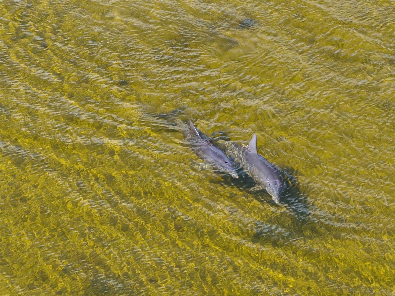 3461 Cyclone Drive, Weeki Wachee, FL 34607 Photo