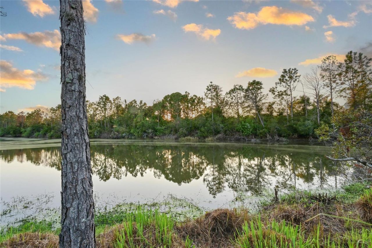 2811 130th Avenue E, Parrish, FL 34219 Photo