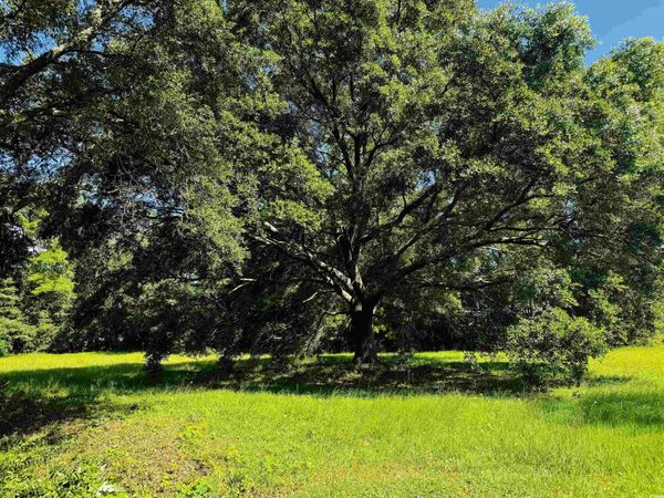 TBD South Bay St., Georgetown, SC 29440