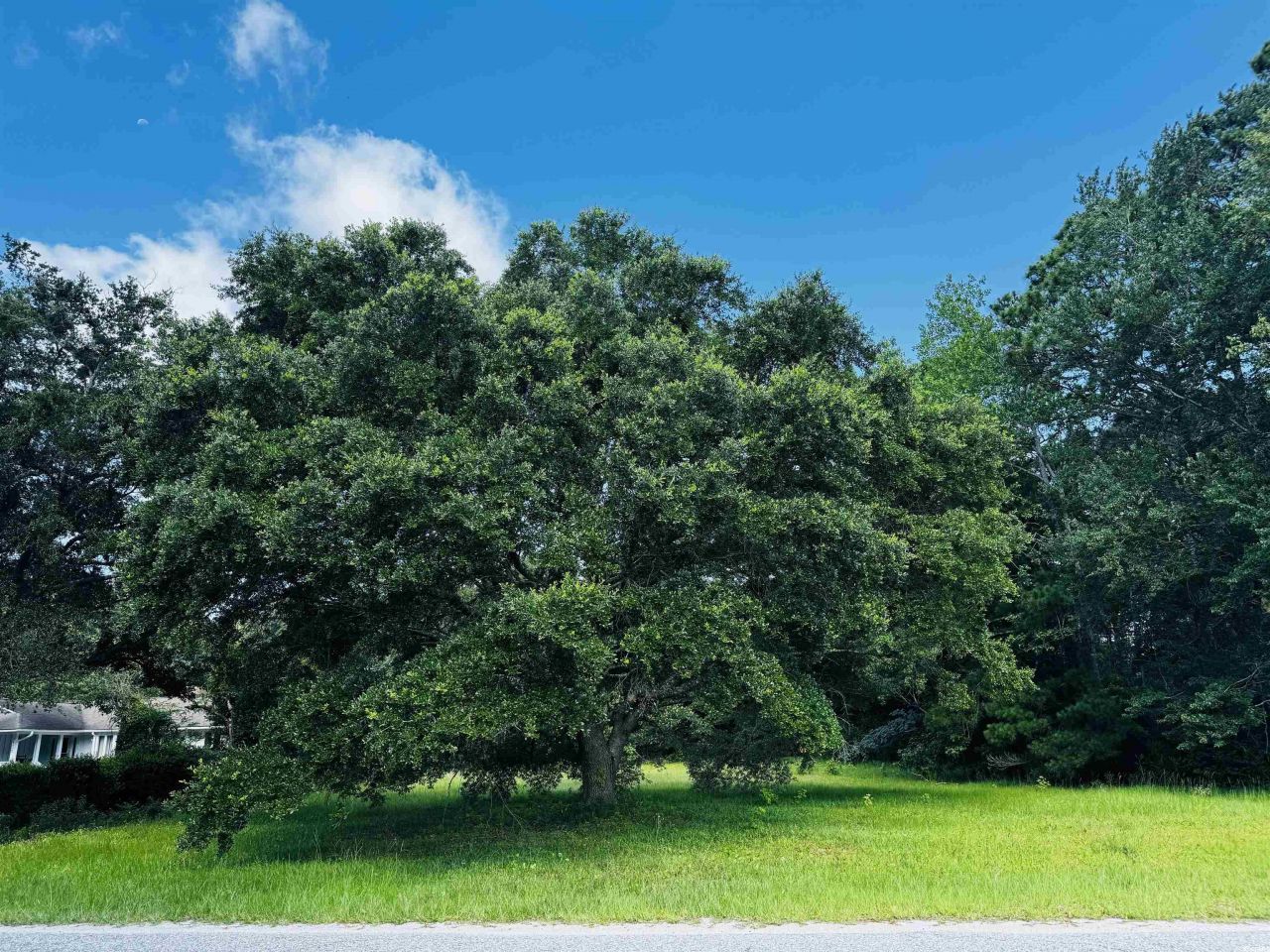 Tbd South Bay St. Photo 6