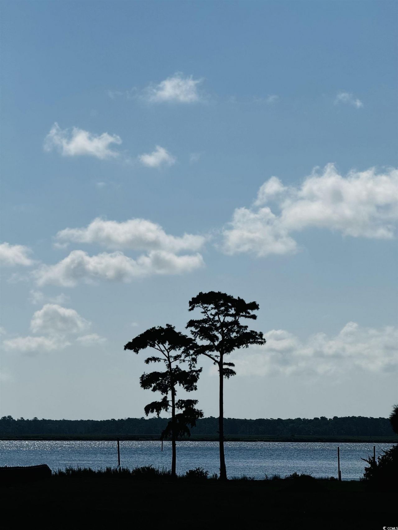 Tbd South Bay St. Photo 7